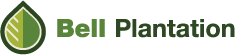 PB2
