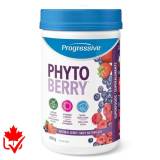 Progressive PhytoBerry 450g