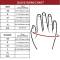 Grizzly Fitness Grizzly Voltage Men's Leather Training Gloves (#8766-04)