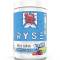 Ryse BCAA Focus 342g