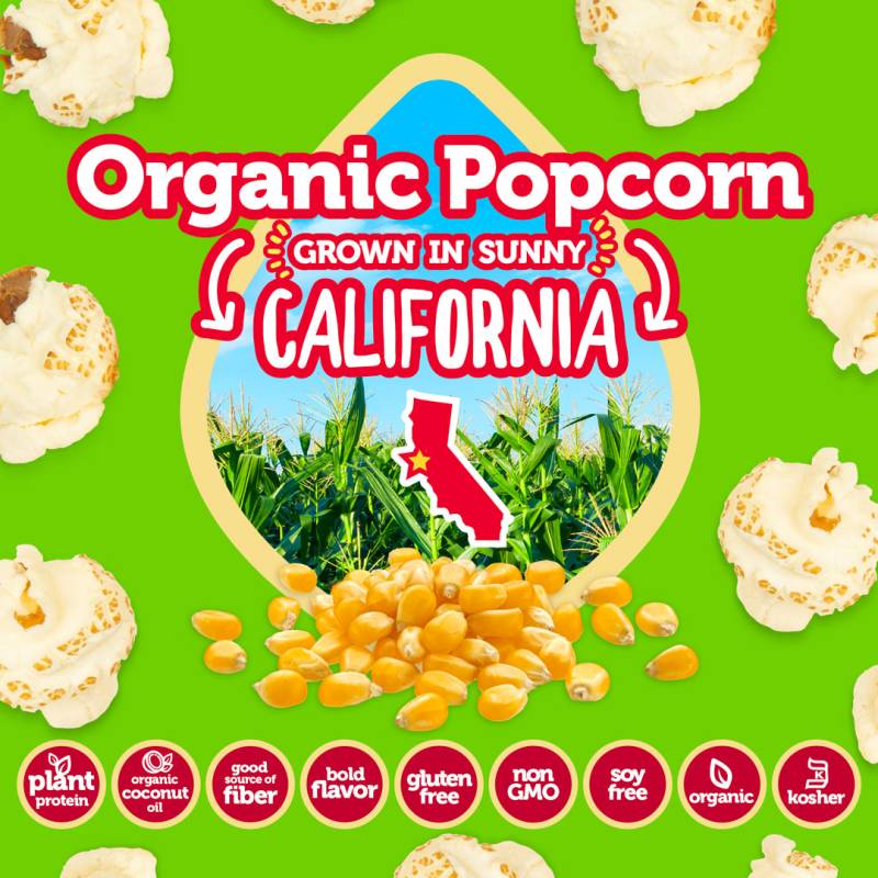 Iwon Organics Protein Popcorn