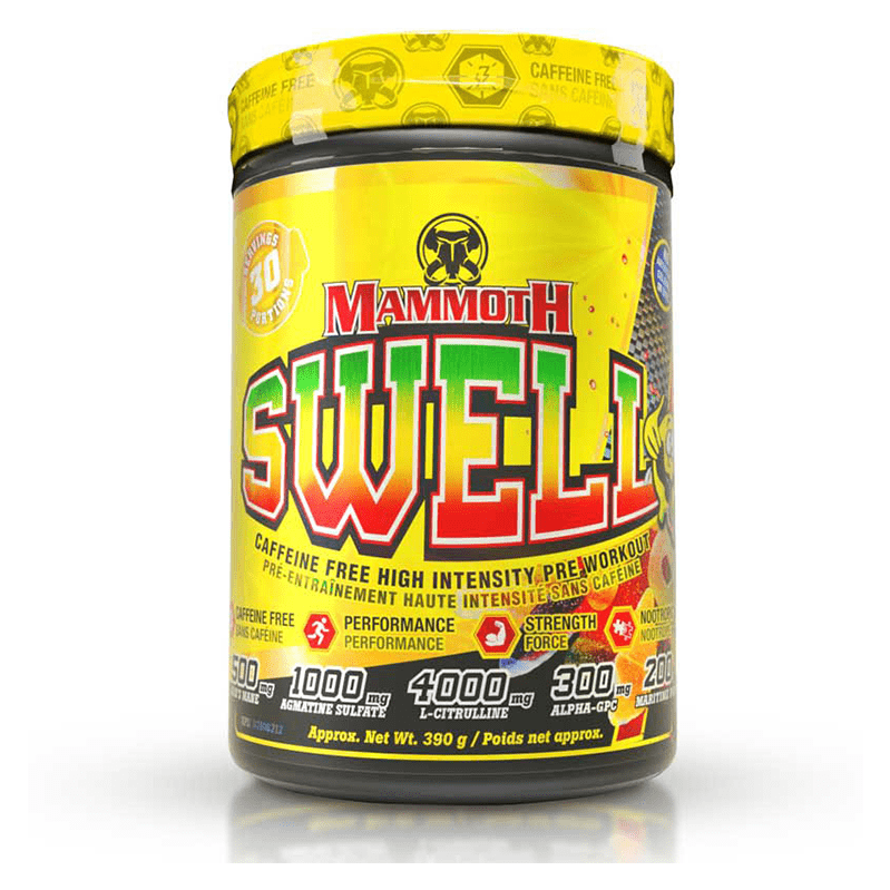 Mammoth Swell 390g
