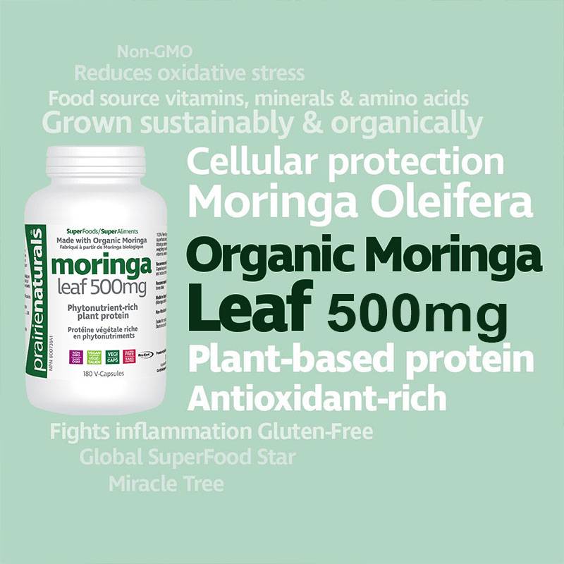 Prairie Naturals Moringa Leaf 500mg