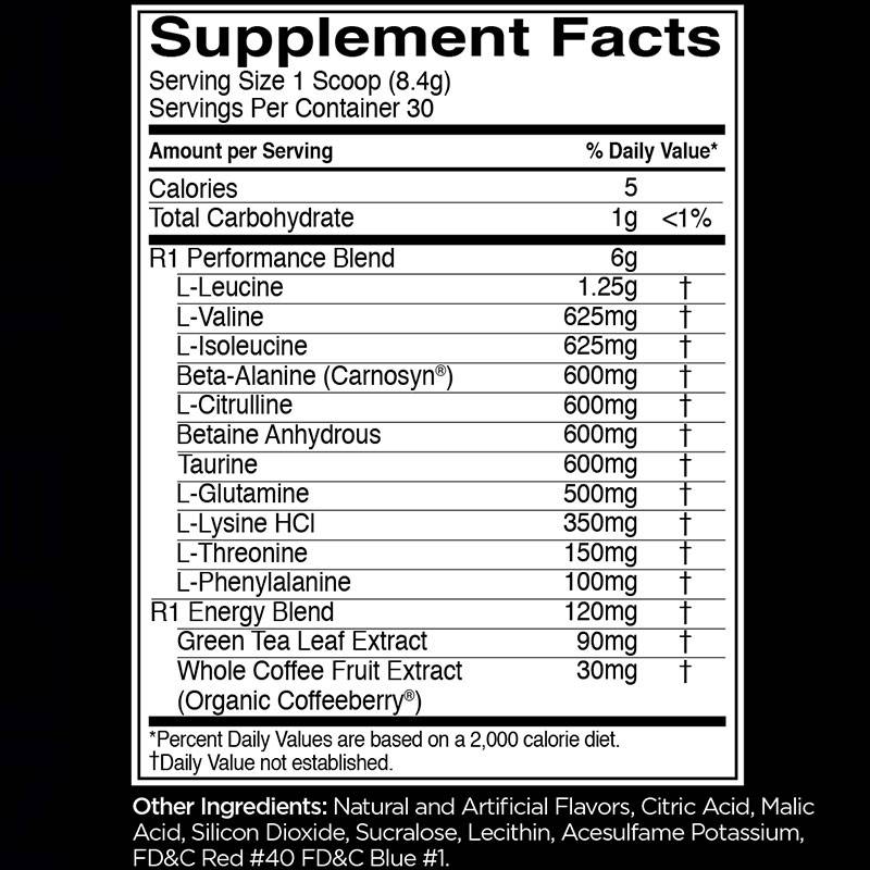 Rule 1 Pre Amino Energy 252g