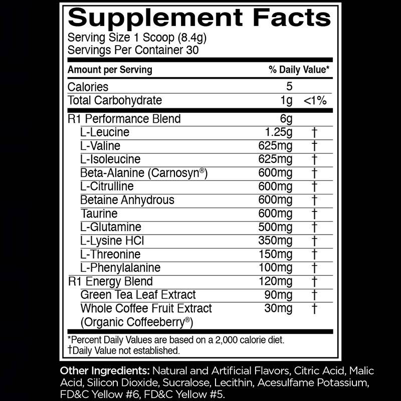 Rule 1 Pre Amino Energy 252g