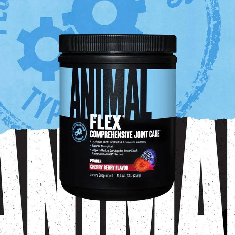 Universal Nutrition ANIMAL FLEX Powder