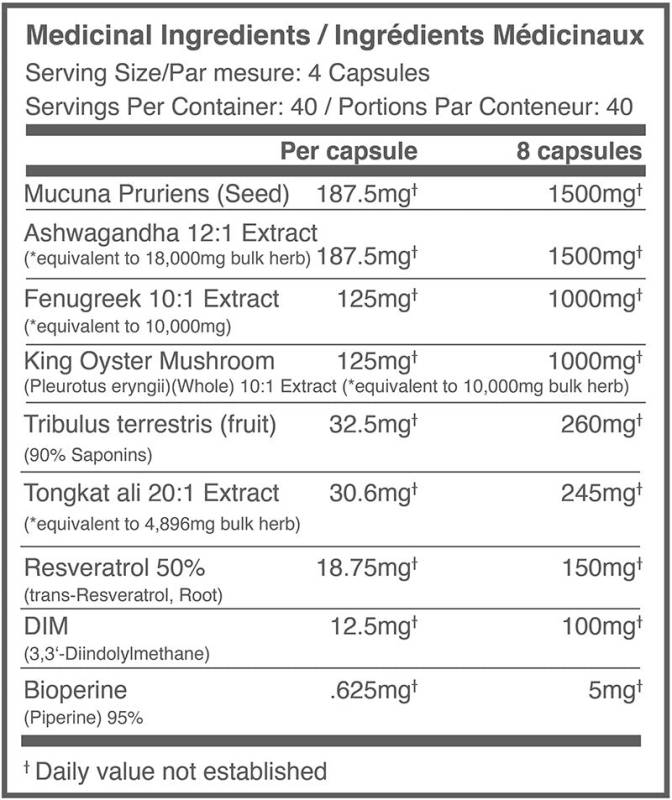 Ballistic Labs Test Booster Kit TRT + DAA (40 day)