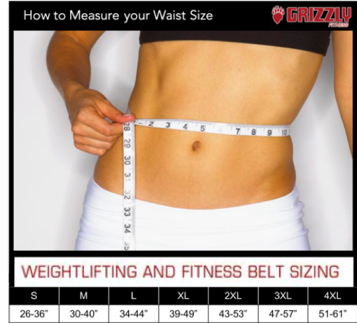 Grizzly Fitness Power Lifting Belt