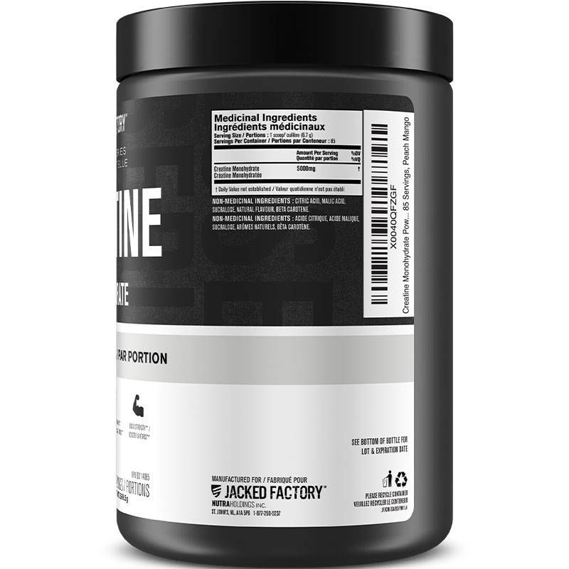 Jacked Factory Flavoured Creatine Monohydrate Powder 569g- 578g