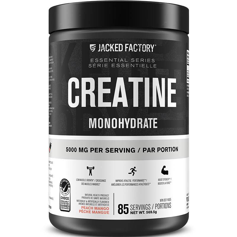 Jacked Factory Flavoured Creatine Monohydrate Powder 569g- 578g