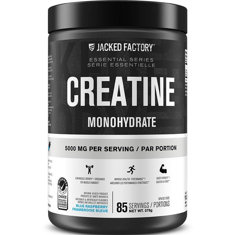 Jacked Factory Flavoured Creatine Monohydrate Powder 569g- 578g