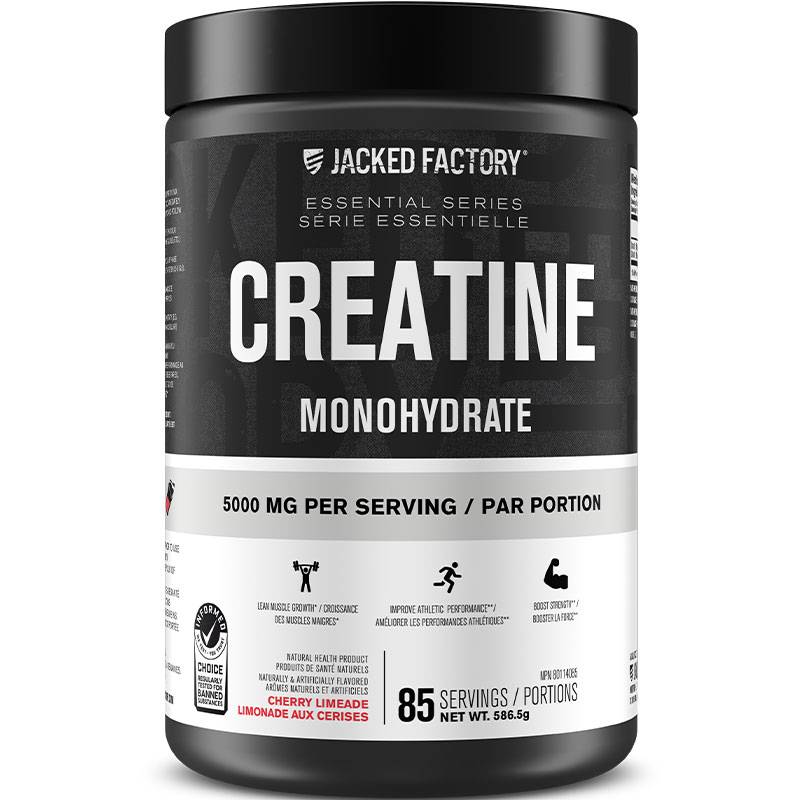 Jacked Factory Flavoured Creatine Monohydrate Powder 569g- 578g