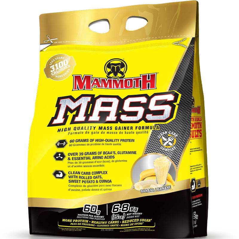 Mammoth Mass 15lb