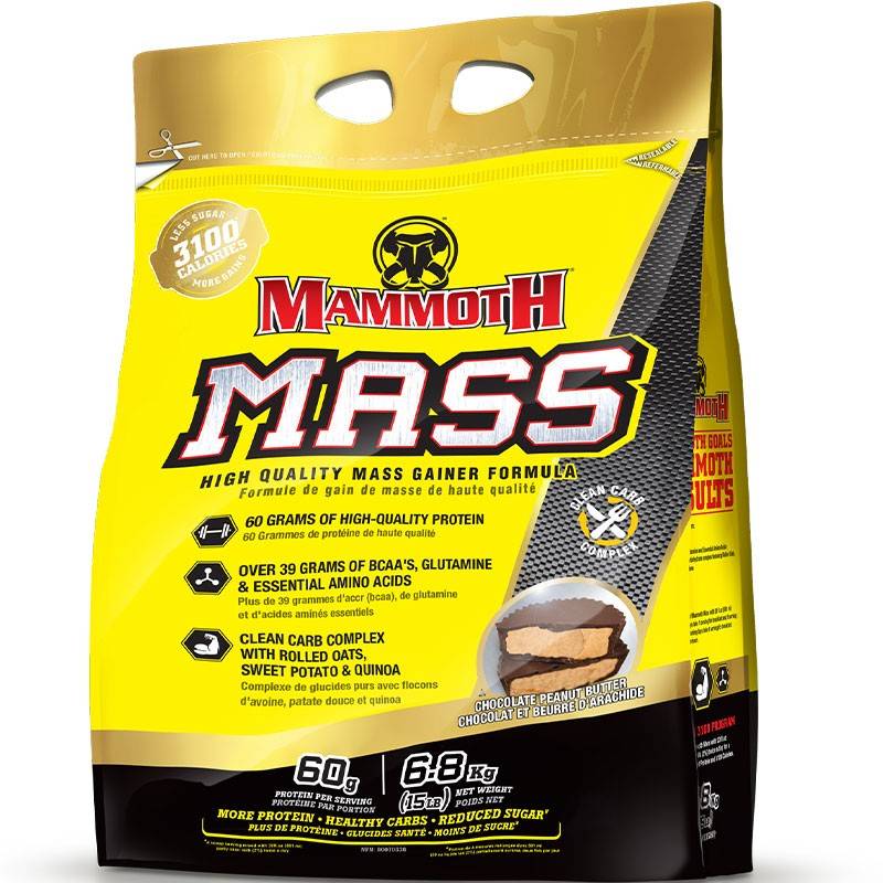 Mammoth Mass 15lb