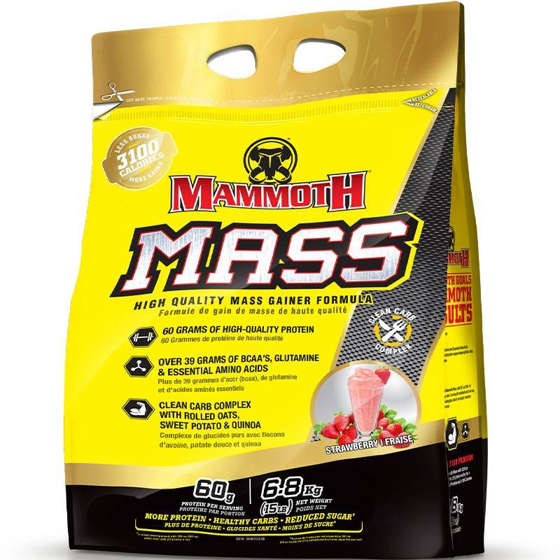 Mammoth Mass 15lb