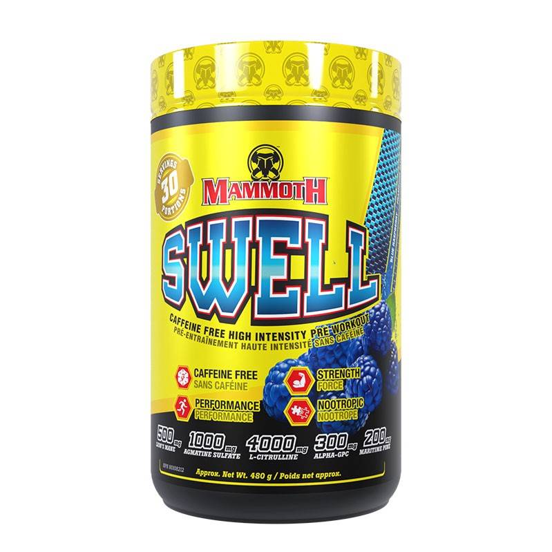 Mammoth Swell 390g