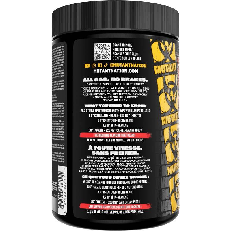Mutant ALL-IN 500g