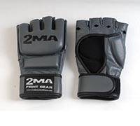 World Standard Fitness/WSF 2MA Fight Gear Training Gloves