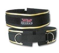 World Standard Fitness/WSF Genesis Universal Lifting and Dipping Belt