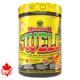 Mammoth Swell 390g