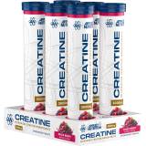 Applied Nutrition Creatine Effervescent Tablets Case