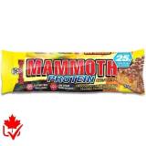 Barre Mammoth Individuelle