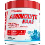 TC Nutrition Aminolyte 490g