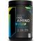 Rule 1 Pre Amino Energy 252g