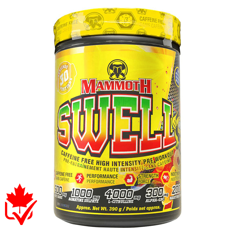 Mammoth Swell 390g